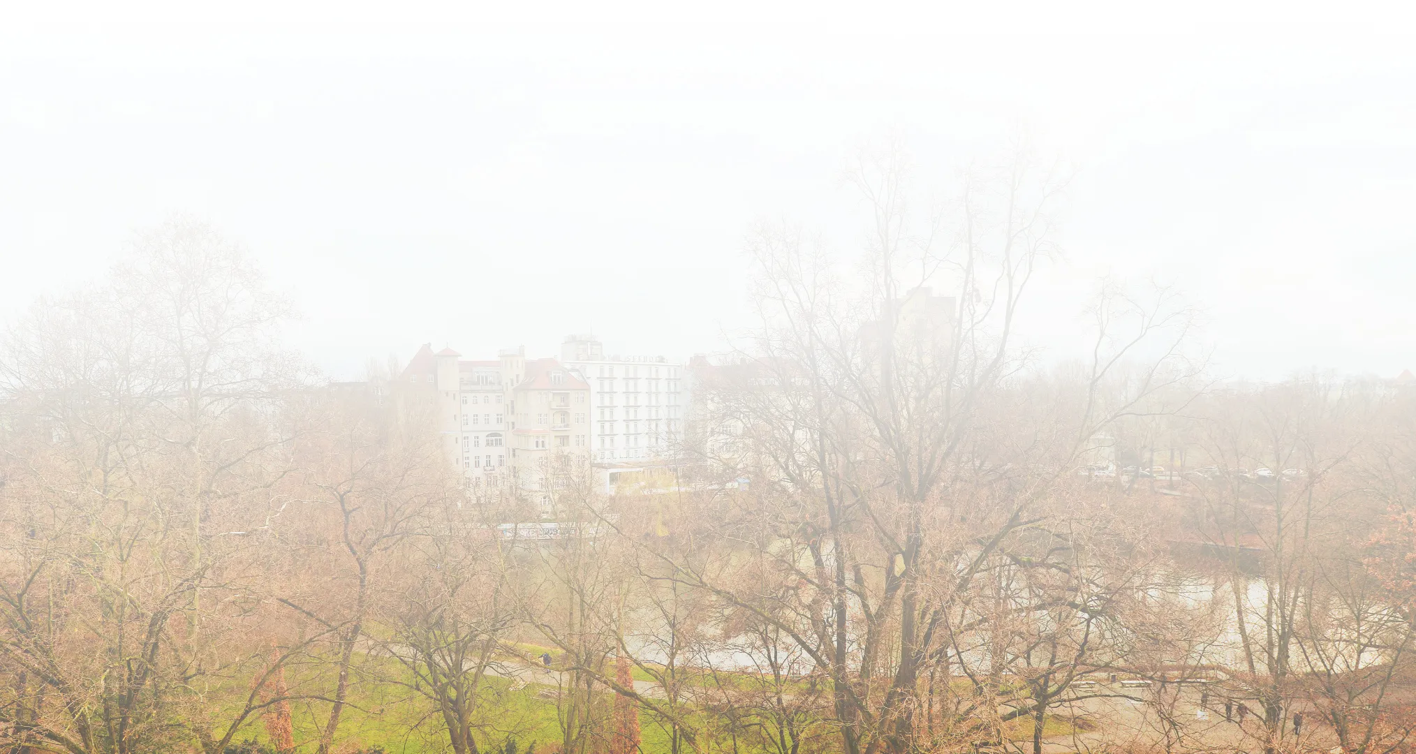 Ausblick auf den Park aus dem Fenster